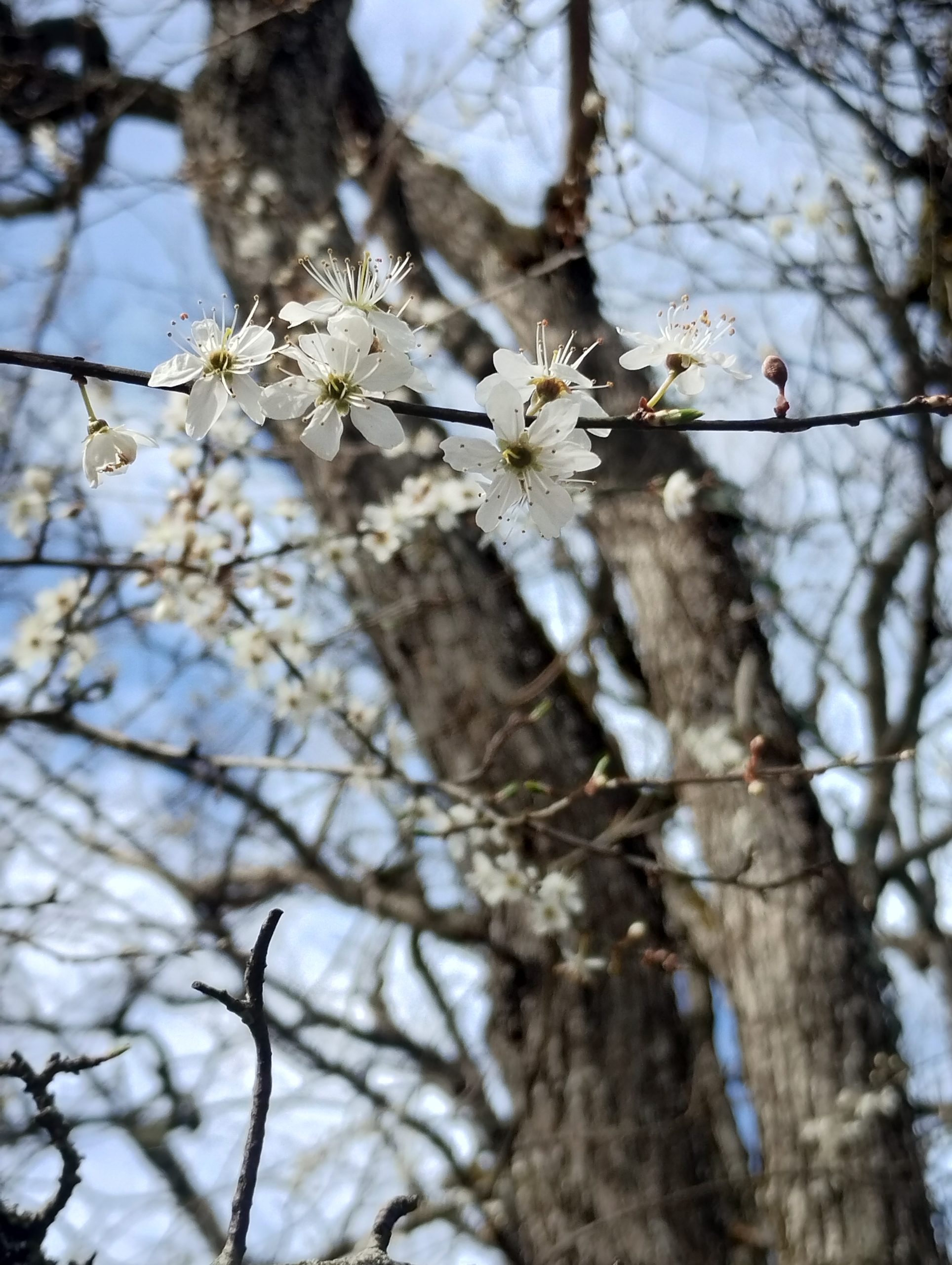 IMG_20260313_140646370_HDR