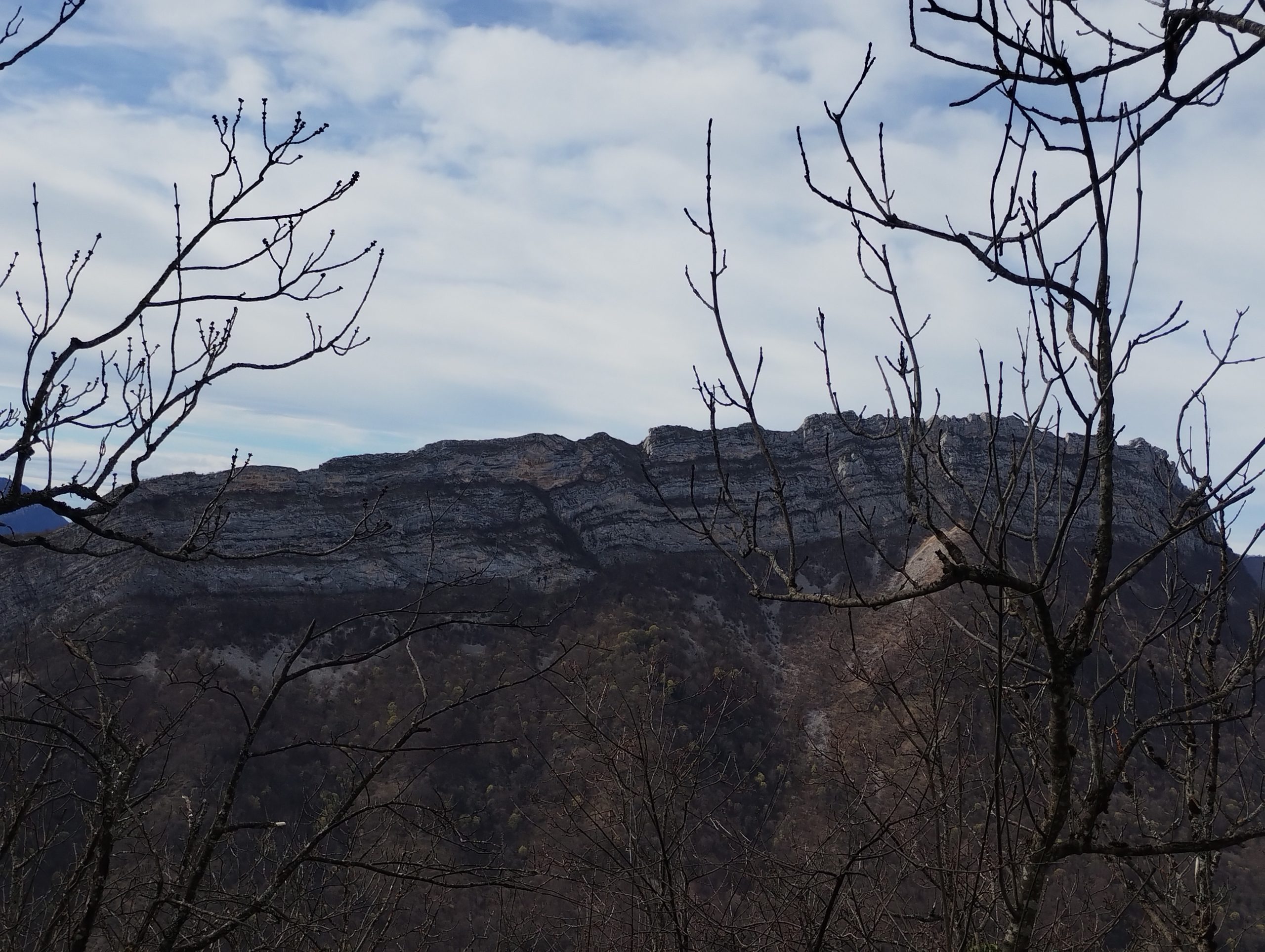 IMG_20260313_150724117