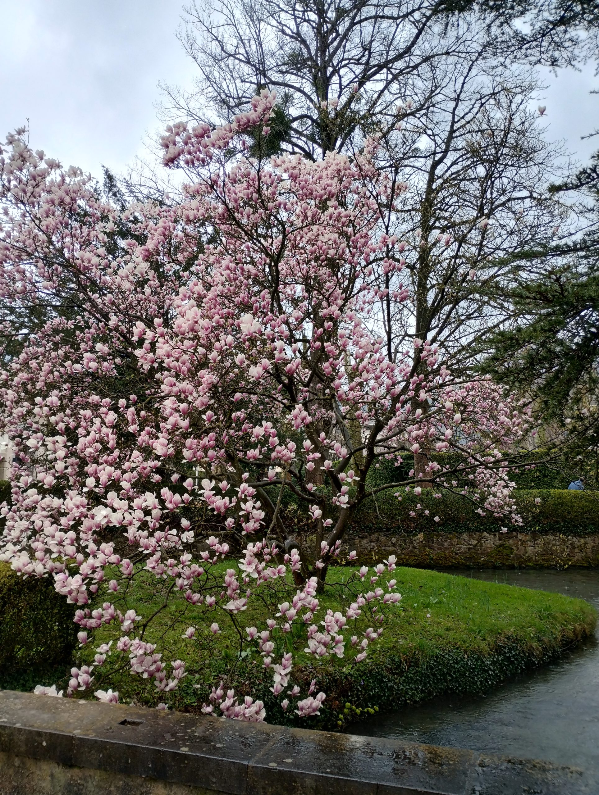 IMG_20260322_123134830_HDR