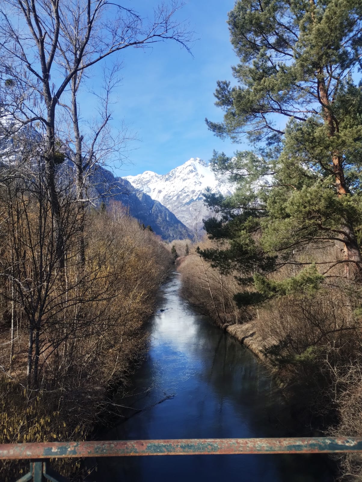 WhatsApp Image 2026-03-24 at 11.43.07