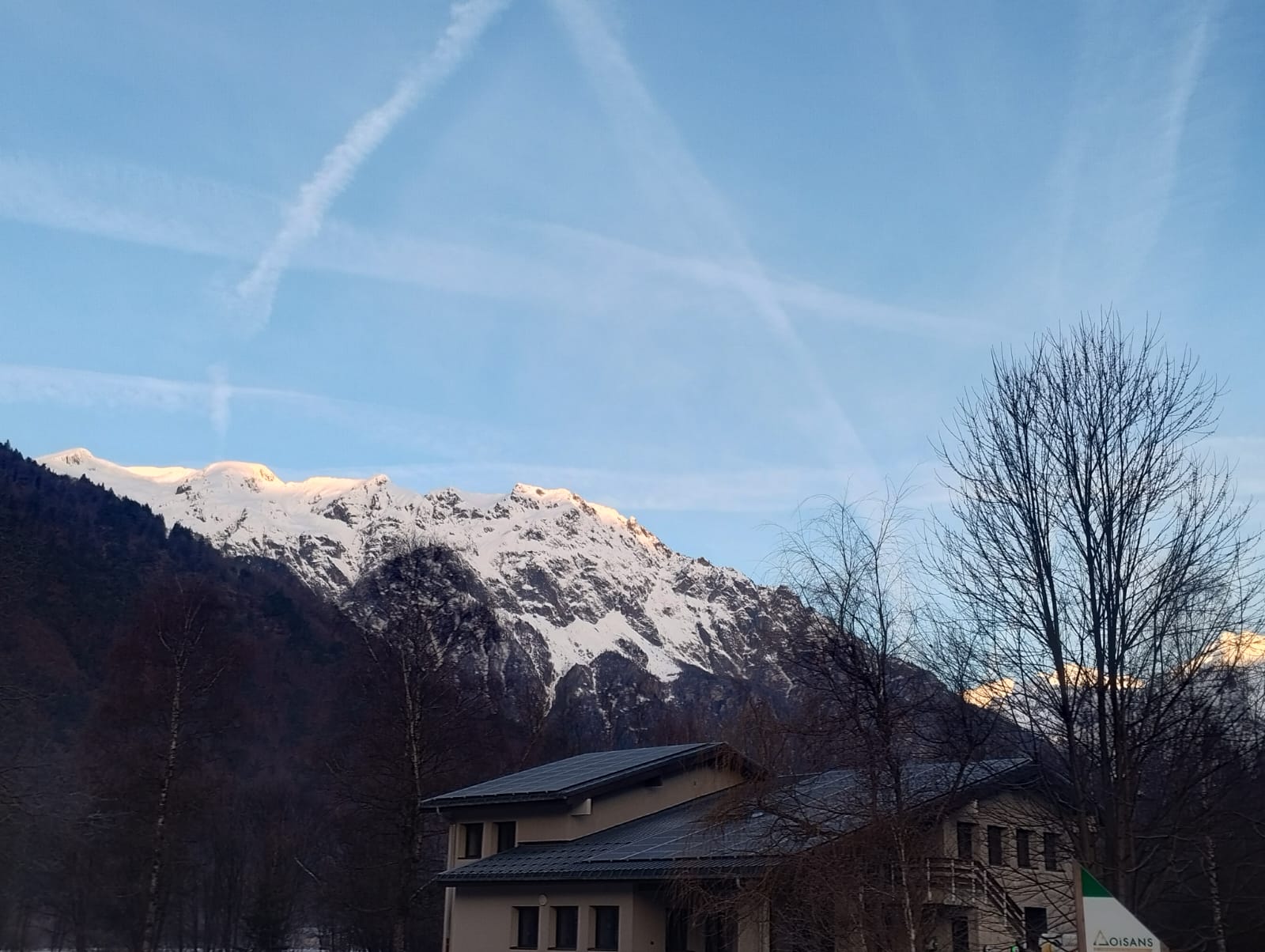 WhatsApp Image 2026-03-24 at 11.43.08 - Copy